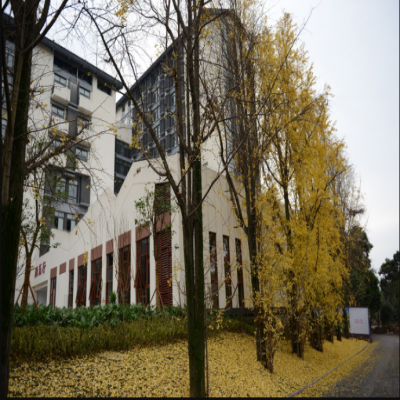 軟瓷行業蓬勃發展，更加廣闊的布局